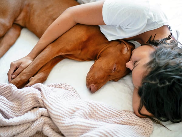2024-04-15_Can_dogs_have_nightmares_-_Hero