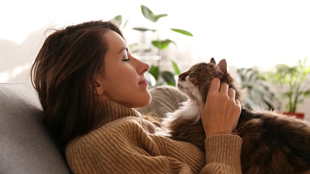 Quiz: Are you a successful pet-care entrepreneur ?