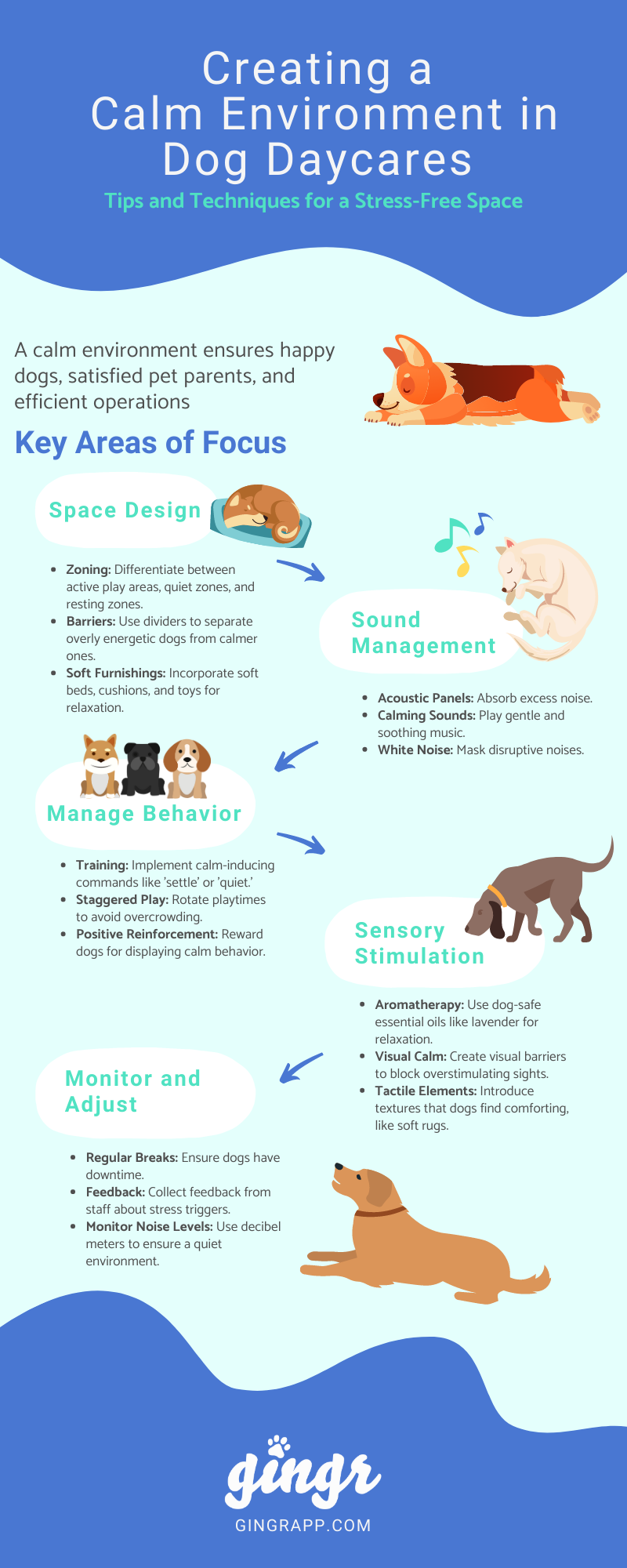 Best Practices for Introducing Pets to New Environments: Expert Tips