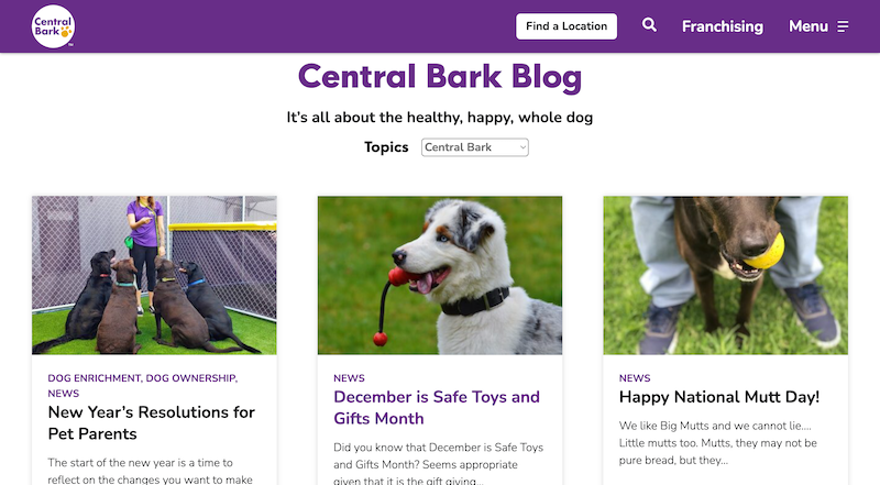 Must Haves for Your Dog Boarding and Kennel Website