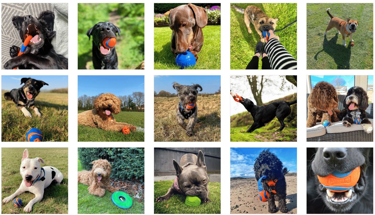 9 Best Pet Supplies Companies For Pet Care Businesses 9-best-pet-supplies-companies-for-pet-care-businesses