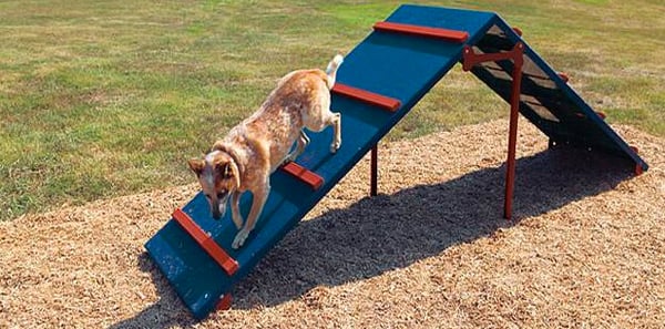 Play structures are a popular type of dog daycare playground equipment.