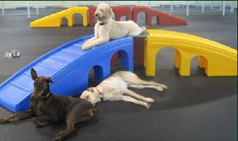 Dog Daycare Playground Equipment