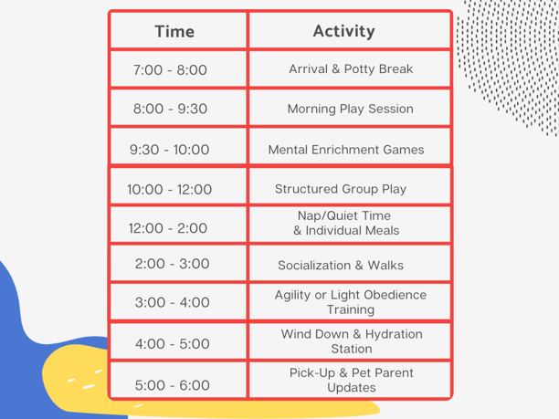 sample busy dog daycare schedule