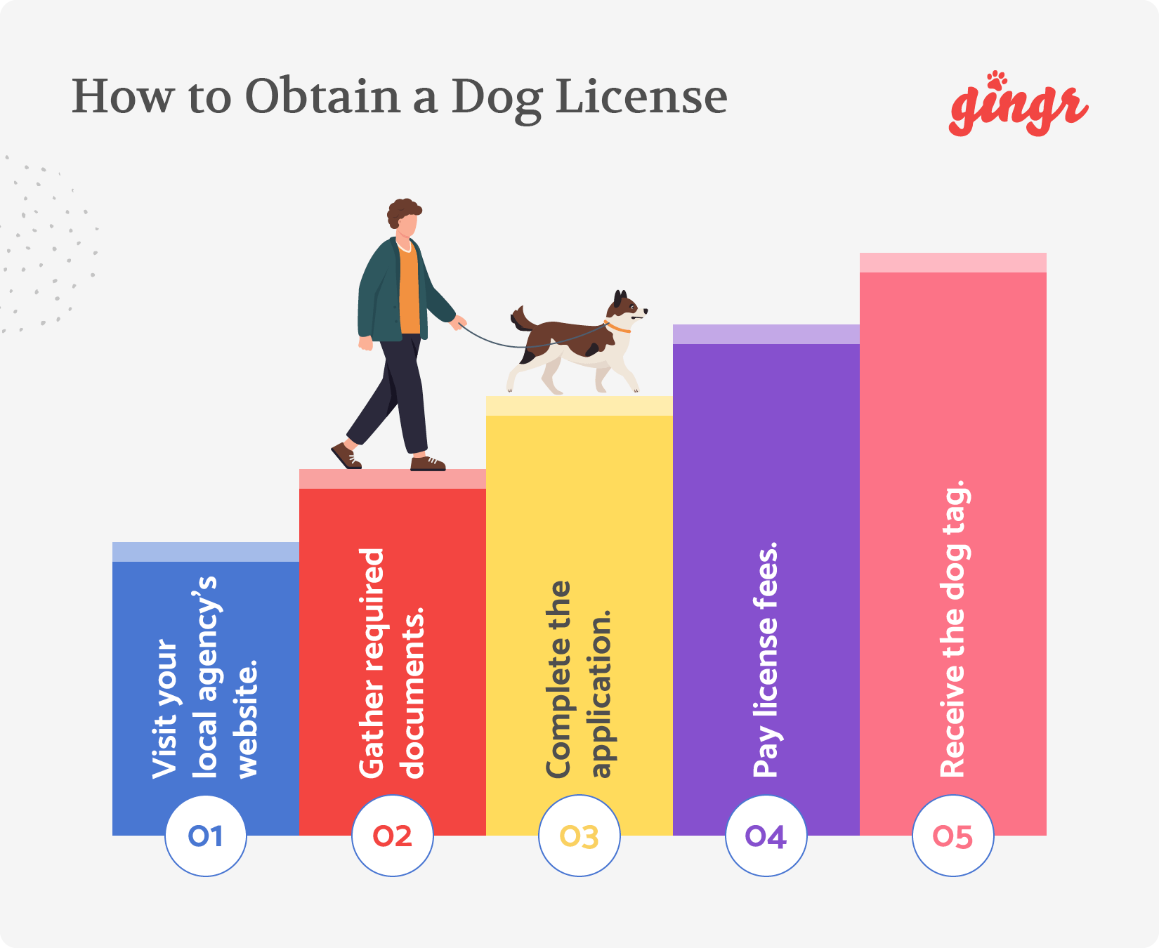 The five steps needed to obtain a dog license.