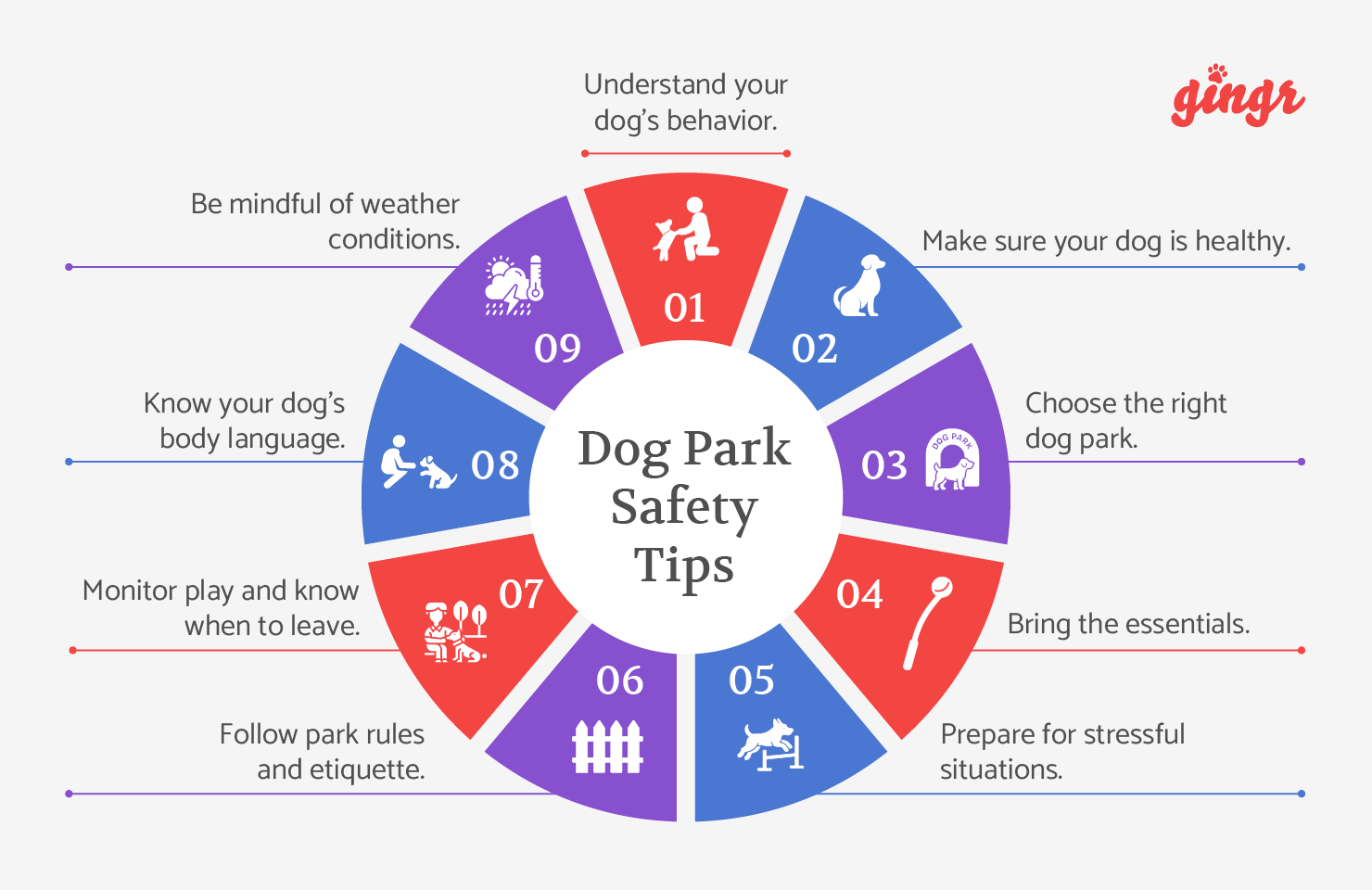 Nine important dog park safety tips (detailed below).