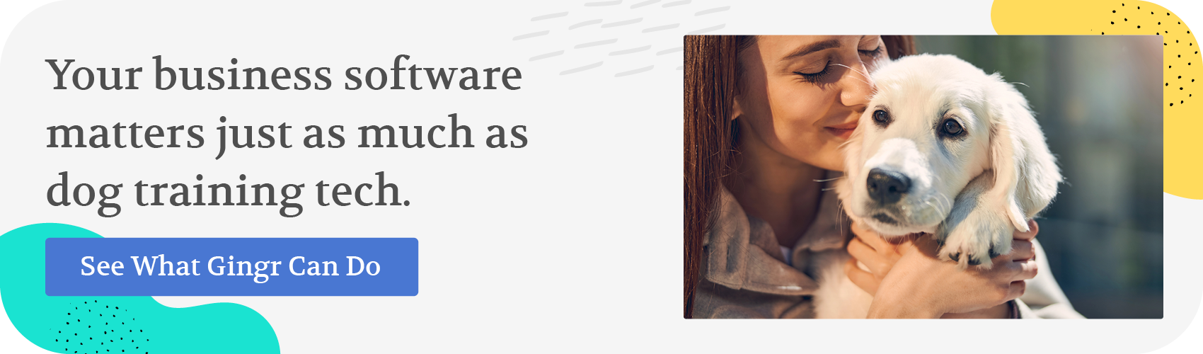 Your business software matters just as much as dog training tech. See what Gingr can do.