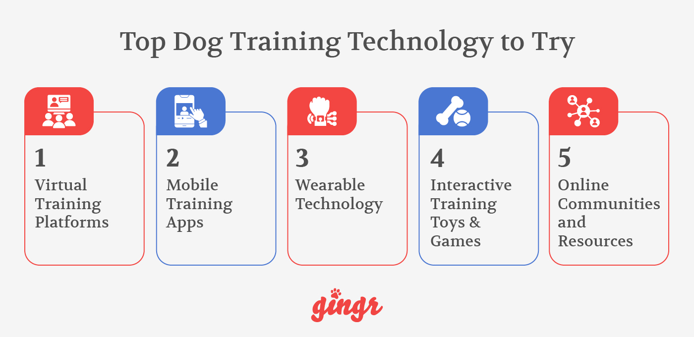 Dog Training Technology that Revolutionizes Your Results