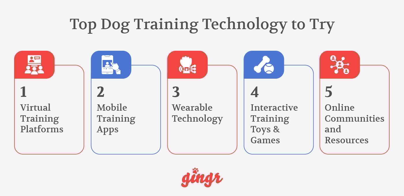 Five top dog training tools your business should try (detailed below).
