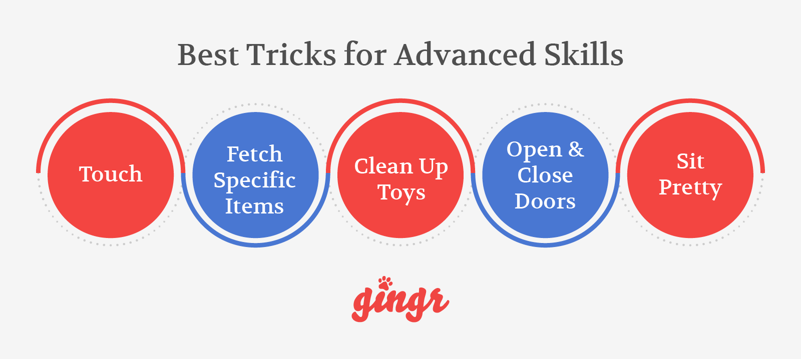 The five best dog training tricks for advanced skills (detailed in text below).