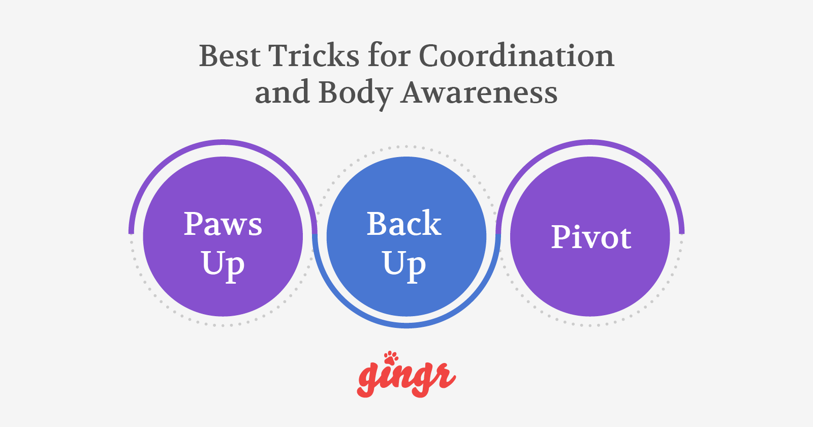 The three best dog training tricks for coordination and body awareness.