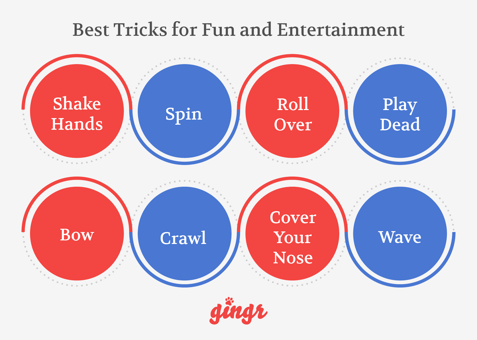 The top eight dog training tricks for fun and entertainment (detailed below).