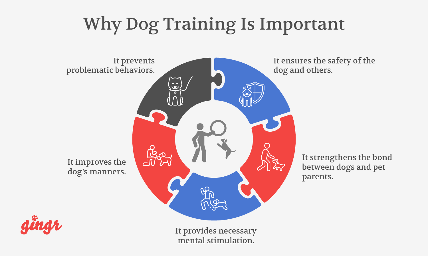 The top five reasons why dog training is important.
