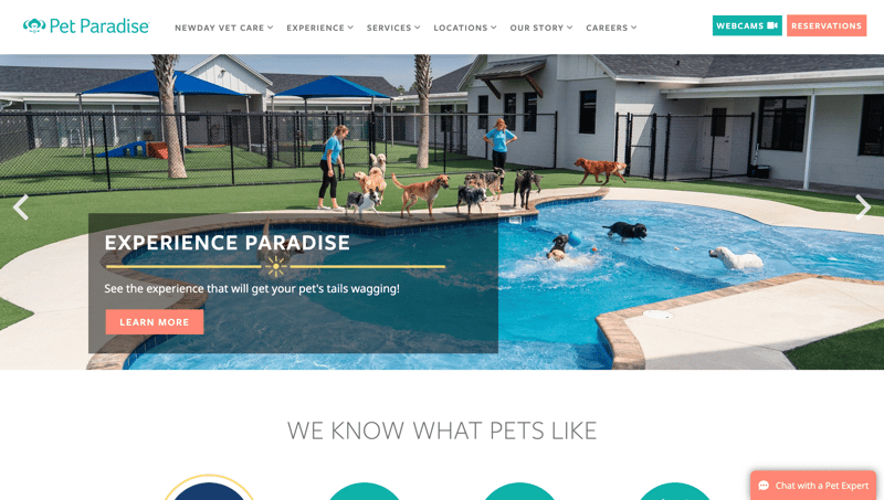 Gingr Customer Pet Paradise's Homepage