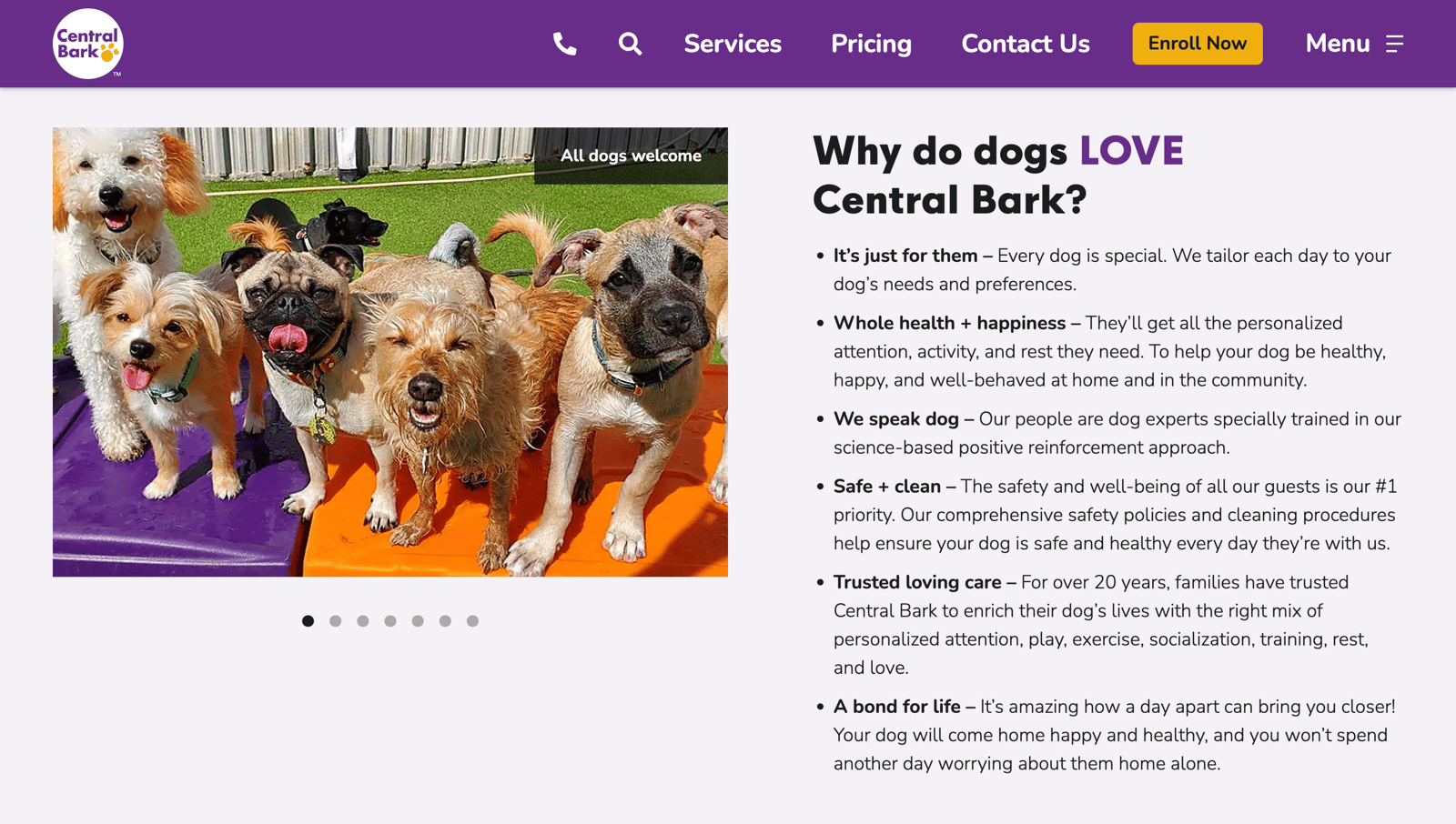 7 Dog Boarding site Tips, Strategies, and MustHaves