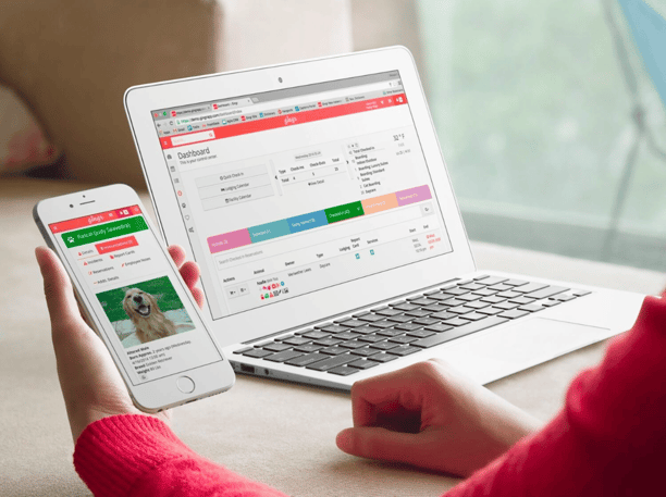 Gingr pet-care software for dog parks and business growth