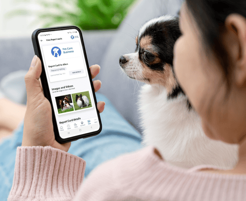 Gingr Pet Parent Mobile App