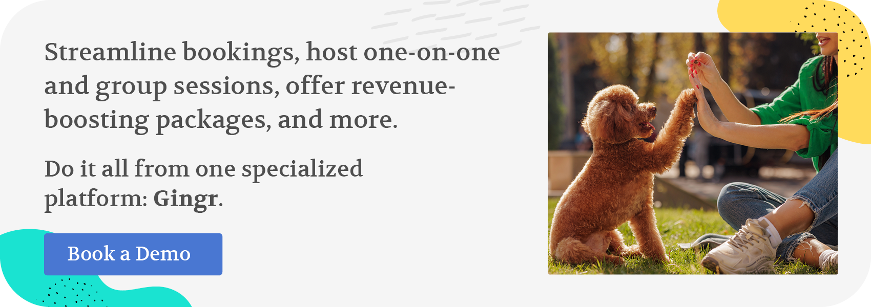 How Do Dogs Learn? A Deep Dive Into Canine Learning