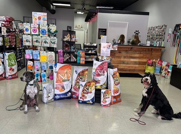 pet retail products