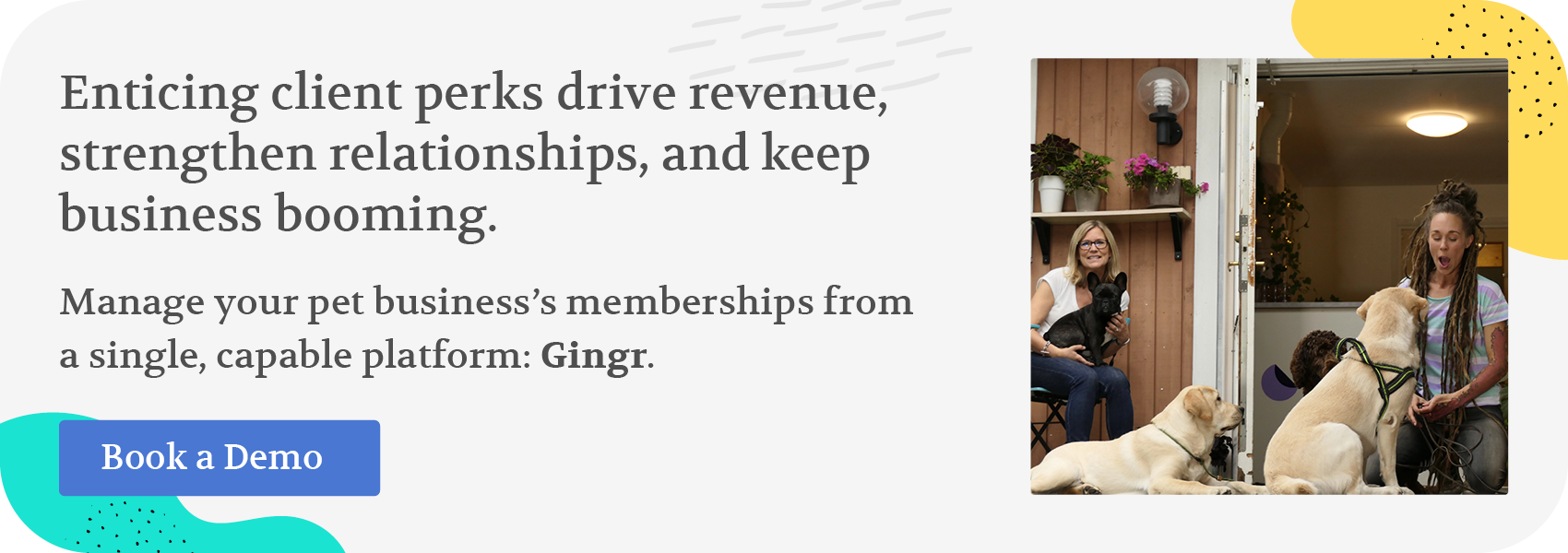 Enticing client perks drive revenue, strengthen relationships, and keep business booming. Manage your pet business’s memberships from a single, capable platform: Gingr. Book a demo.