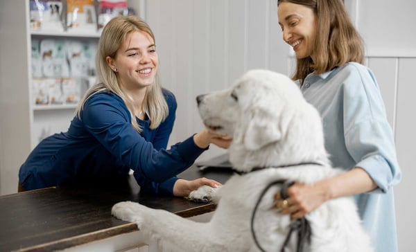 Elevate Your Pet-Care Business with Gingr's Automated Pricing Rules and Peak Dates