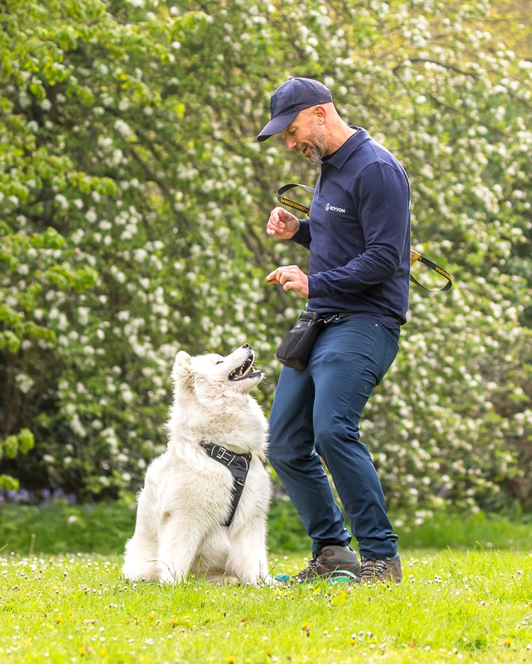 Red Rover, Red Rover, Send Royvon Right Over!