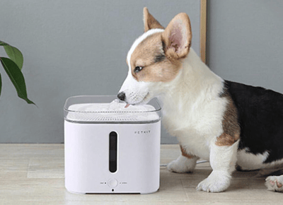 PetKit  — Automatic Water Bowl 