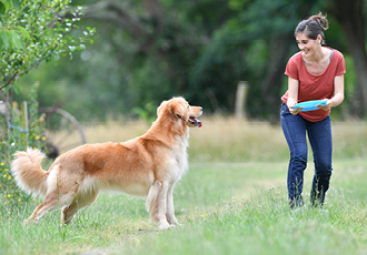 Frisbees provide a lot of surface area to brand your pet business merchandise.