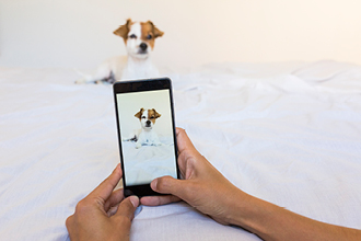 Photoshoots are the perfect pet business merchandise idea for groomers.