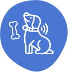 Pet scheduling software_report card