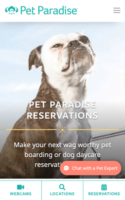 Gingr customer Pet Paradise