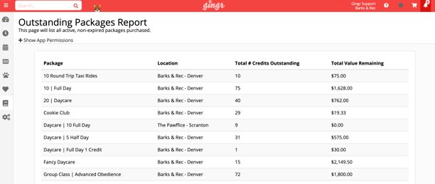 report example in Gingr