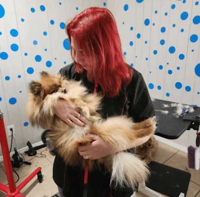 Gingr's Unleashed Success: A Howling Triumph at A Pups Dream Dog Grooming