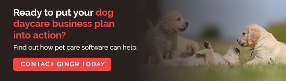 Contact Gingr for help with implementing pet care software as you start your dog daycare business.