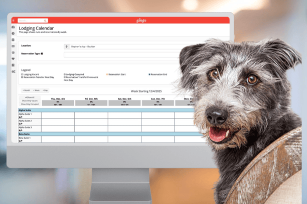 cute dog in front of computer displaying a lodging calendar for a pet business
