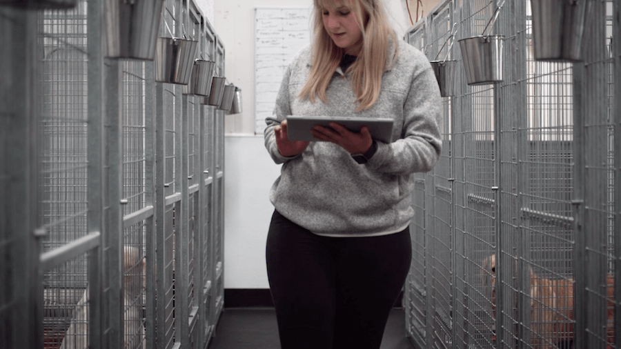  This image of a woman working in a kennel represents how dog boarding software can improve operations. 