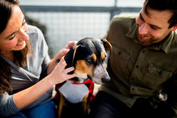Why Continuing Education Matters for Pet-Care Staff