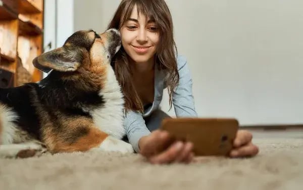 Scaling Success: How to Maintain Consistency Across Multiple Pet-Care Locations