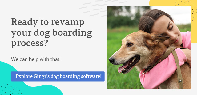 Revolutionize your dog boarding process with Gingr's dedicated dog boarding software!