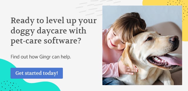Contact Gingr today to begin using our state-of-the-art pet-care software!