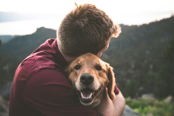Why Continuing Education Matters for Pet-Care Staff
