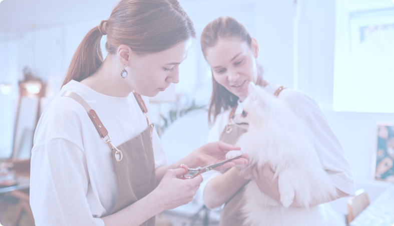pet-grooming-management
