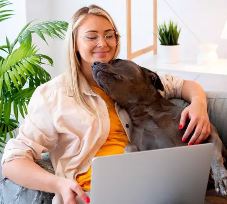 Woman on her computer while a large dog snuggles her