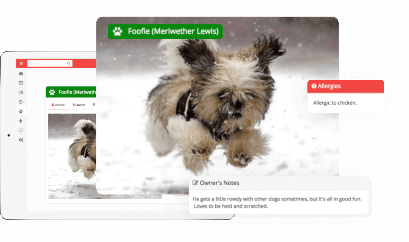Gingr Pet Business Software for Groomers, Daycares, & More