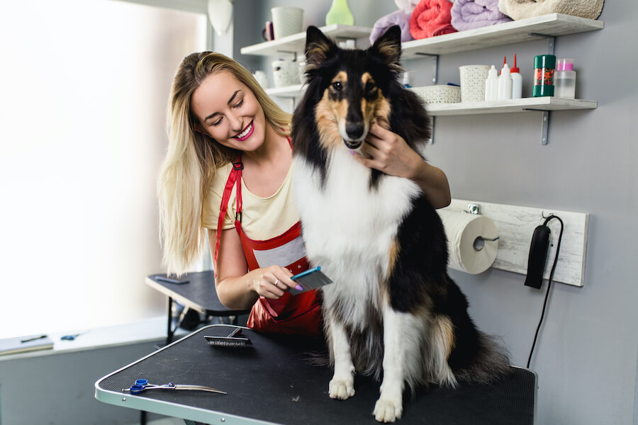 This image of a dog groomer and a dog represents our grooming software features. 
