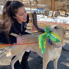 Humane Society of Boulder Valley