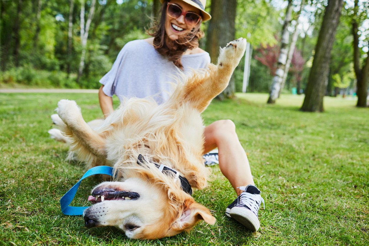 This image of a woman playing with her dog represents the smiling faces and wagging tails that you will promote with Gingr’s pet business software.