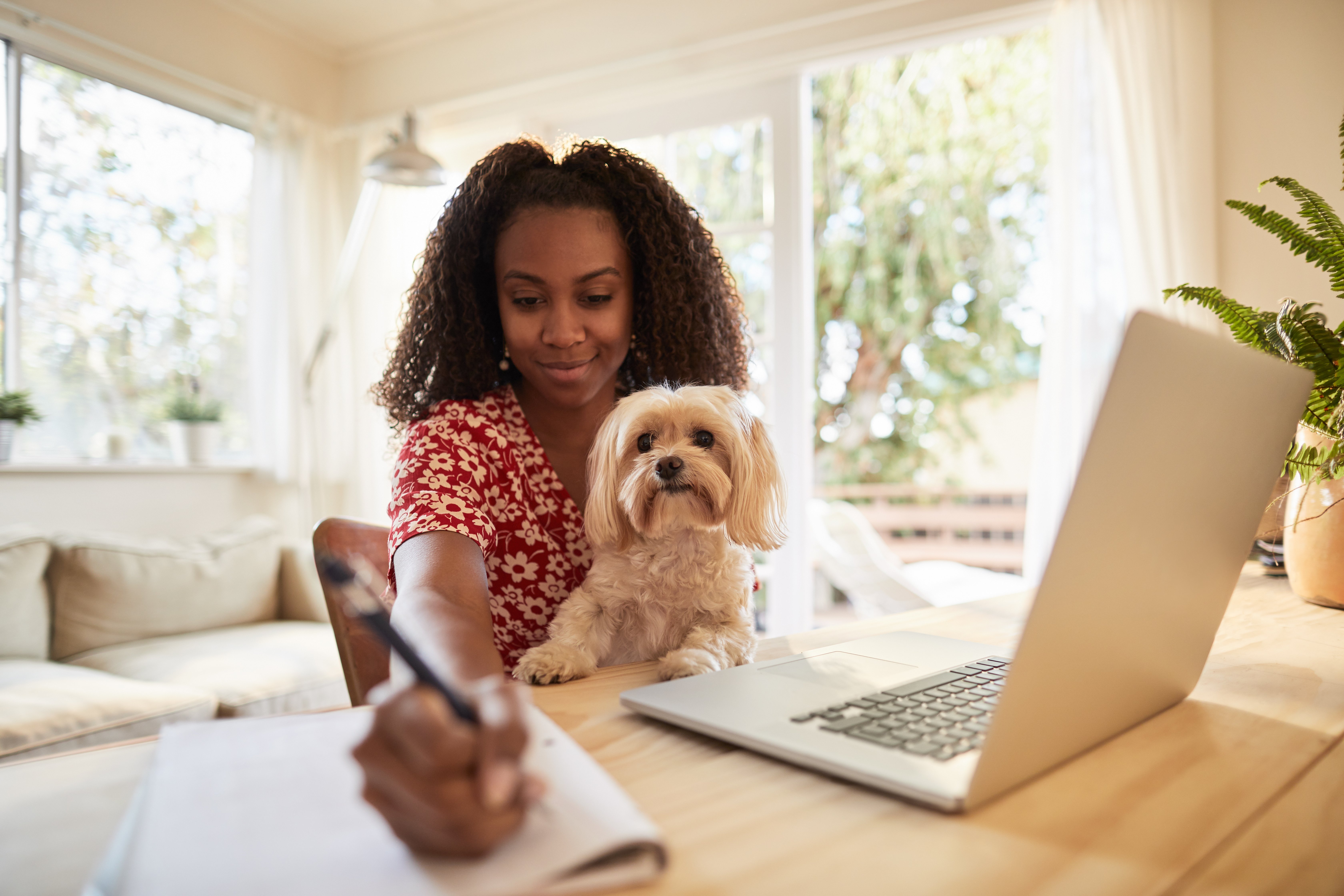 Our pet business software is dedicated to helping you spend more time with the animals in your care.
