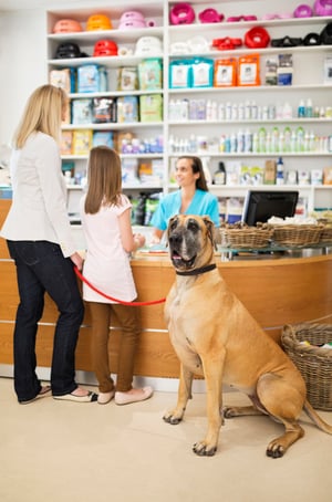 How to Increase Tips at Your Pet-Care Business: 5 Strategies