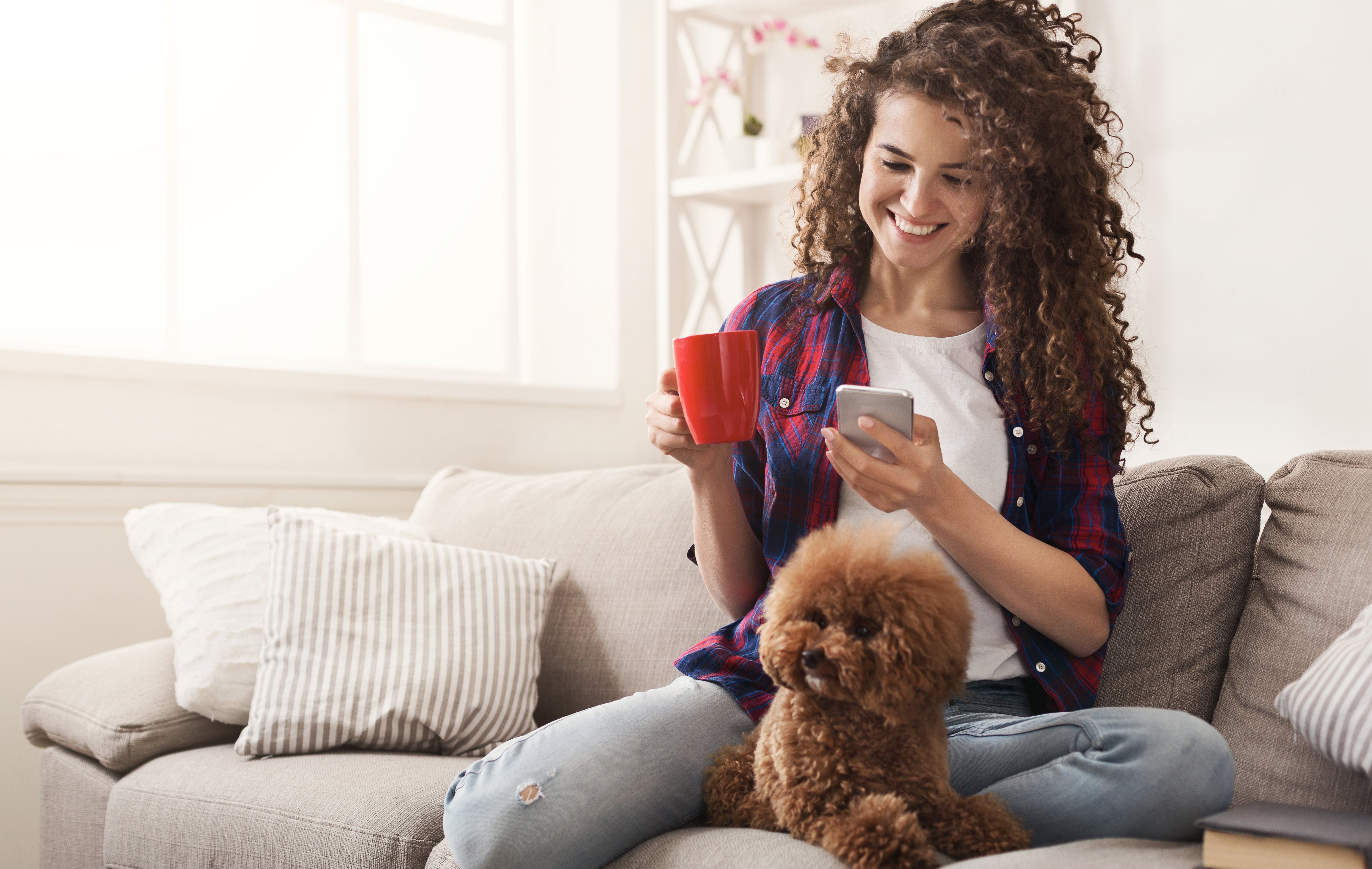 This image of a woman scrolling on her phone represents the automated email and SMS reminders that come with our pet grooming software.